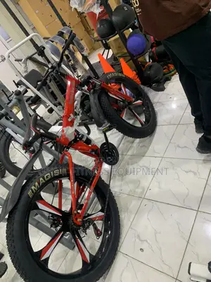 Foldable Big Tire Bicycle With Alloy Wheels