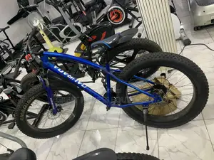 Big Tire Bicycle With Spoke Wheels