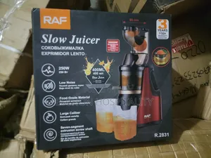 RAF Slow Juicer 250W
