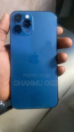 Apple iPhone 12 Pro Max 256 GB Blue
