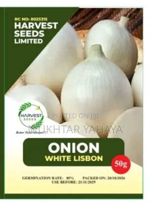ONION, White Lisbon