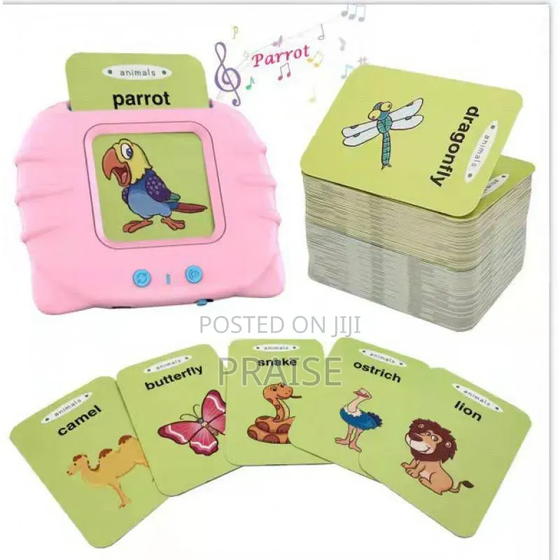Educational Card Reader Flash Cards