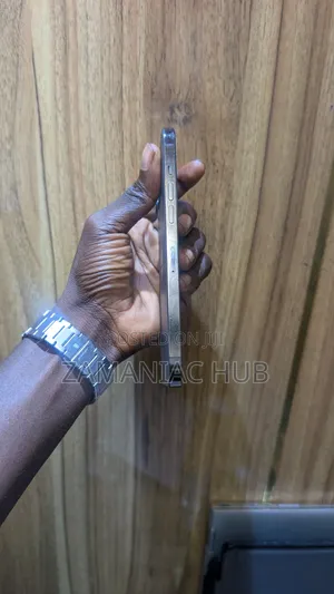 Apple iPhone 12 Pro Max 128 GB Black
