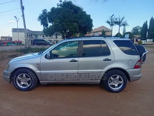 Mercedes-Benz M Class 2006 Silver