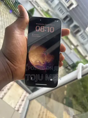 Apple iPhone 15 Pro Max 256 GB Silver