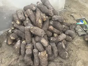 Fresh Farm Yams for Sale – Bulk Retail at Cool Prices