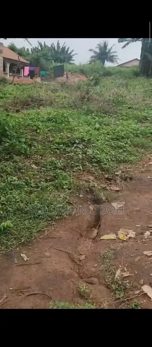 Half Plot of Land