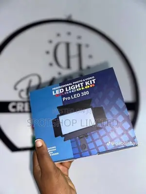 LED 300 Pro Light