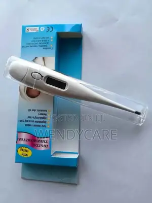 Digital Thermometer