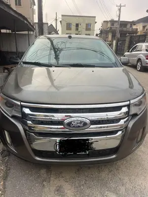 Ford Edge 2013 Gray