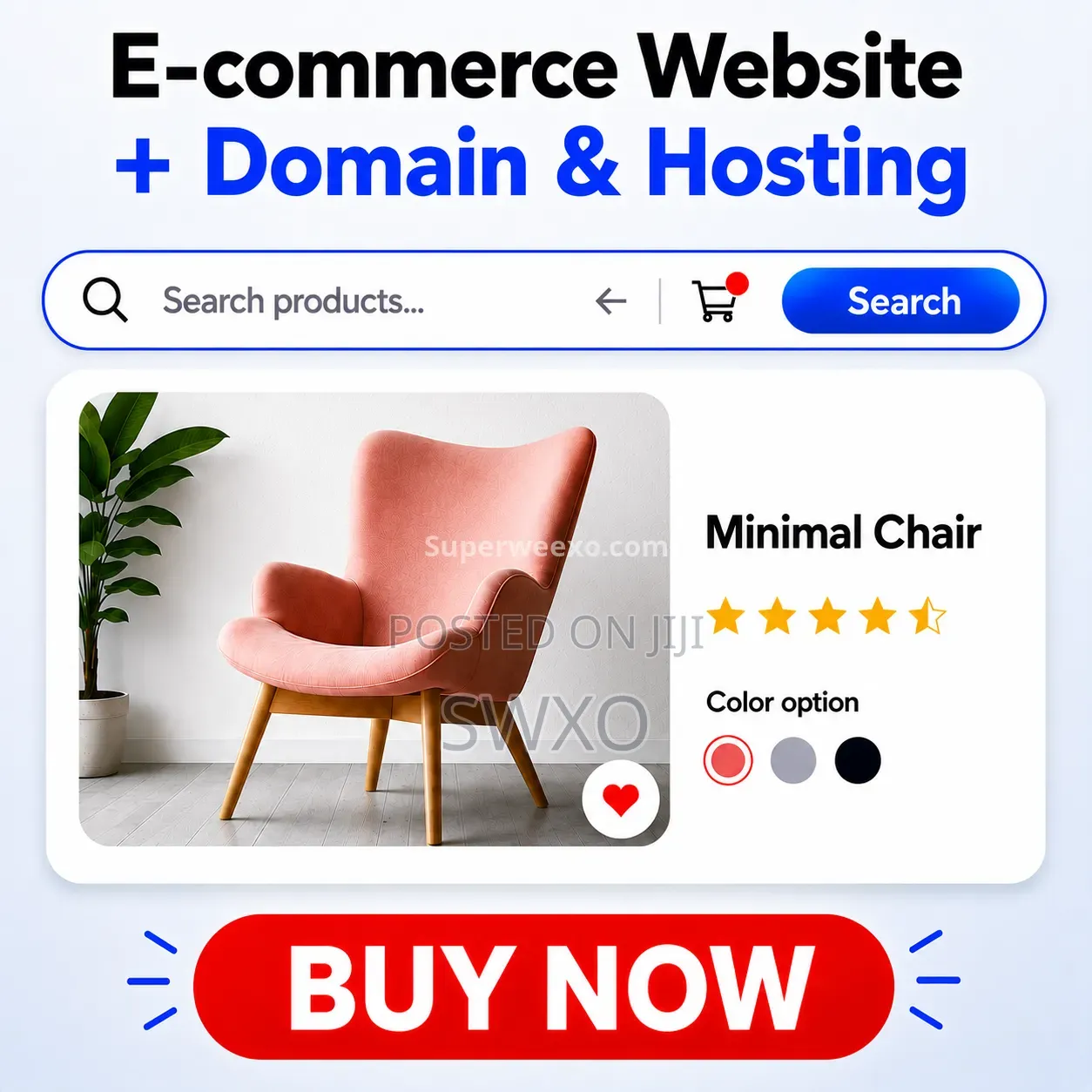 Ecommerce Website + Domain Hosting