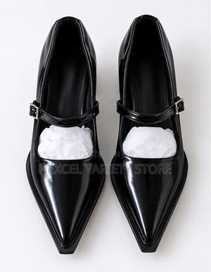 Elegant Ladies Pointed-Toe Mary Jane Block Heels
