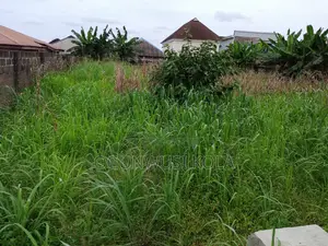 Land for Lease on the Road