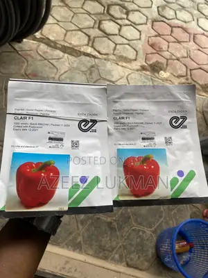Clair F1 Sweet Pepper