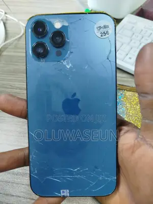 Apple iPhone 12 Pro Max 256 GB Blue