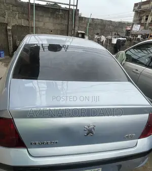 Peugeot 407 2007 Blue
