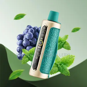 Oxbar Rovota Grape Mint 60kPuffs Disposable Vape