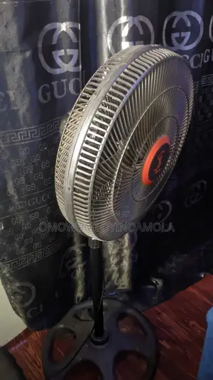 Few Months Old Standing Fan