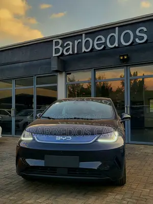 New BYD Seagull 2025 Black