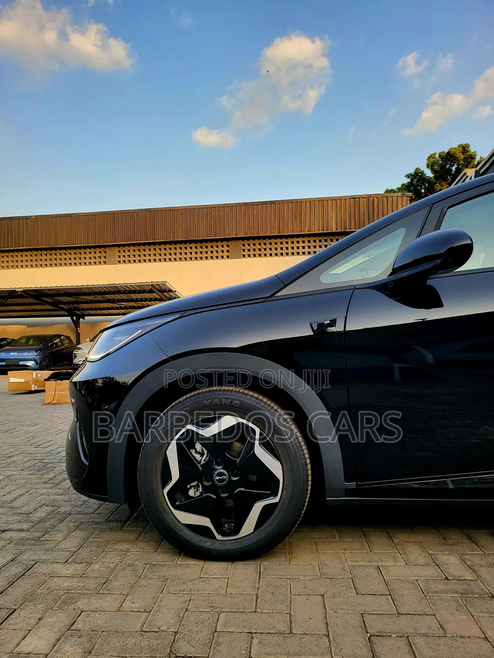 New BYD Seagull 2025 Black