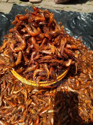 Premium Crayfish and Dry Fish