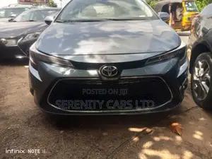 Toyota Corolla LE 2021 Gray