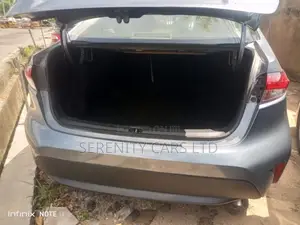 Toyota Corolla LE 2021 Gray