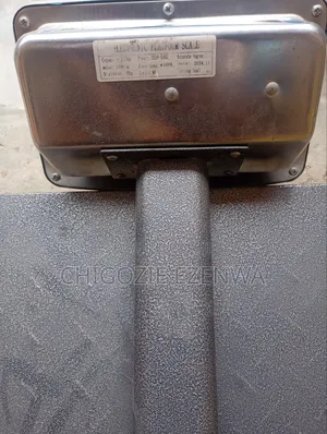 Electronic Platform Scale