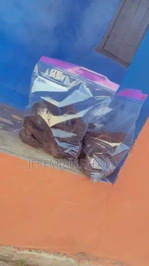 Fresh and Quality Dry Seafood for Sale