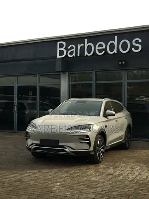 New BYD Song Plus 2025 Gray
