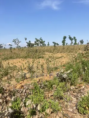Prime Estate Land for Sale