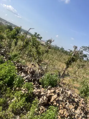 Prime Estate Land for Sale