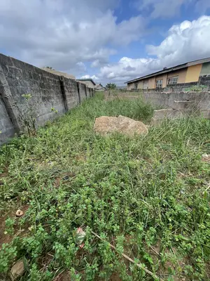 Half Plot of Land