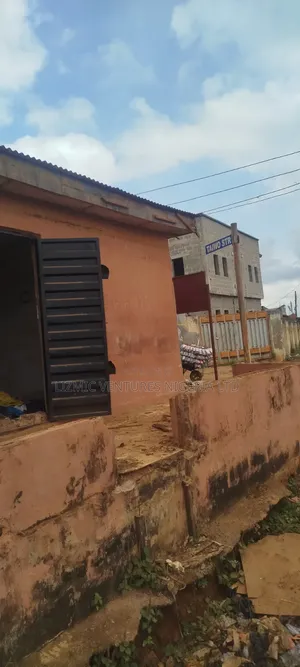 Nice Shop Tolet