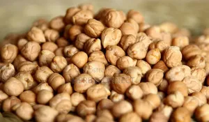 Chickpea - 500g