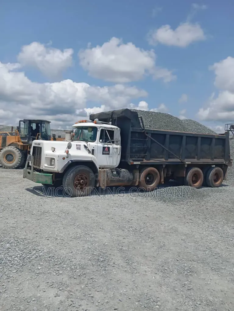 Dust-Free Washed Chippings