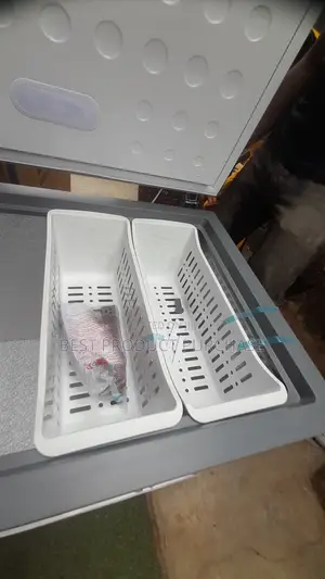 Reliable Cold Storage for Retail: SkyRun BD-260A Chest Freezer