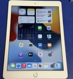 Apple iPad Air 2 64 GB Gray