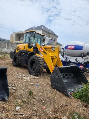 Pay Loader Heavy Duty