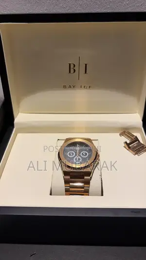 Bay Ice Watch