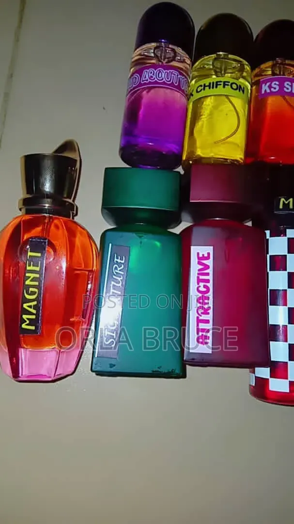 Orllybee Collections