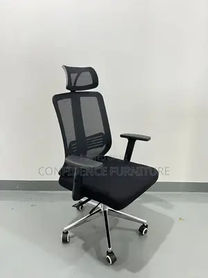 Executive Mesh Chair With Headrest
