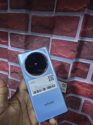 Vivo X100 256 GB Blue