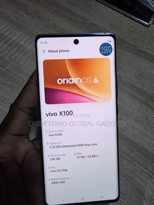 Vivo X100 256 GB Blue