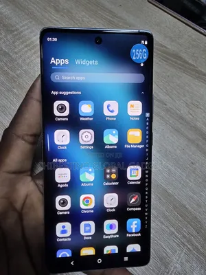 Vivo X100 256 GB Blue