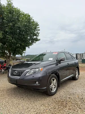 Lexus RX 2010 Gray