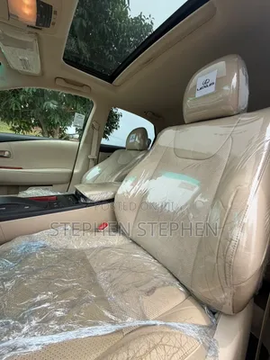 Lexus RX 2010 Gray