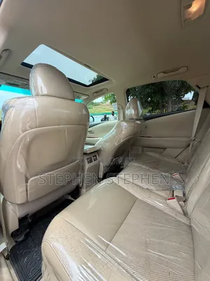 Lexus RX 2010 Gray