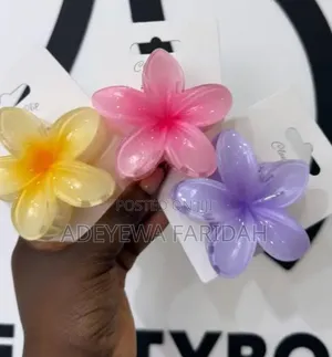 Claw Clips