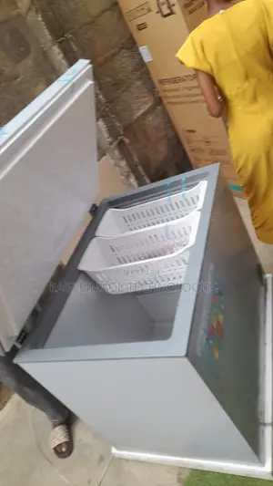 Skyrun BD-260A Home and Business Freezer